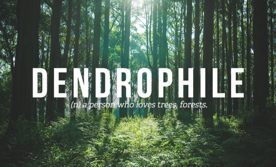 Dendrophile