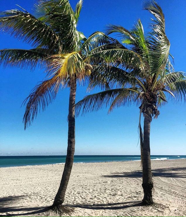 3 Reasons Why You Shouldn’t Claim Travel Compensation Unless Essential..