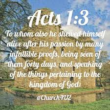 Infallible -Vocabulary