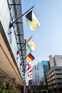 BRICS Signals Edition 8 Street view of international flags in Grand Rapids, Michigan, USA.